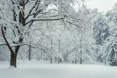 Similar image 22156077