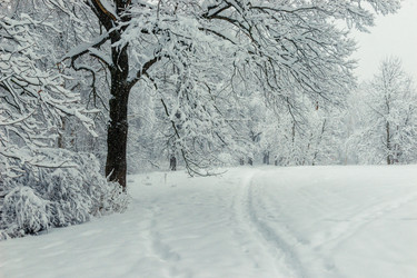 Similar image 22156081