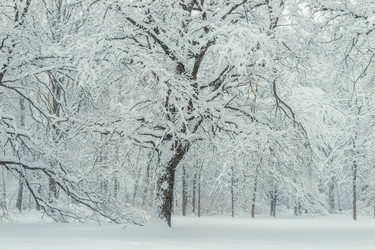 Similar image 22156083