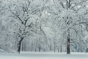 Similar image 22156087