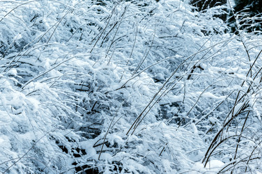 Similar image 22152989