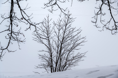 Similar image 22152996