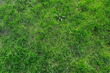 Similar image 22153002