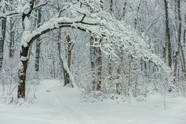 Similar image 22157418