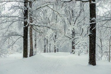 Similar image 22157422