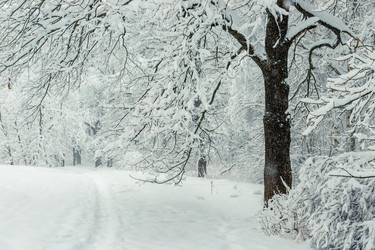 Similar image 22157426