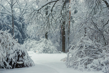 Similar image 22157430