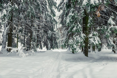 Similar image 22157434