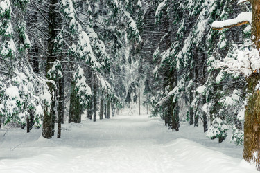 Similar image 22157438