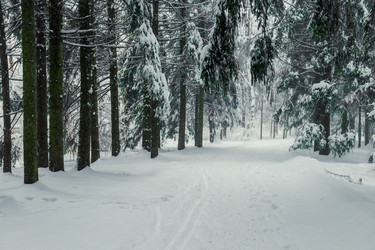 Similar image 22157444