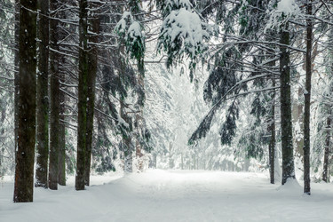 Similar image 22157446