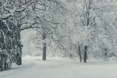 Similar image 22157450