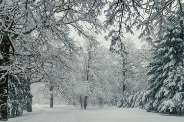 Similar image 22157452