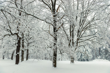 Similar image 22157456