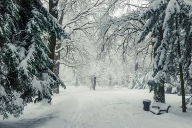 Similar image 22157699