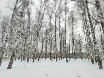 Similar image 22150650