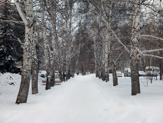 Similar image 22150651