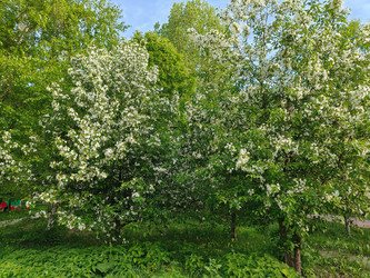 Similar image 22150655