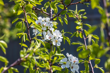 Similar image 22158087