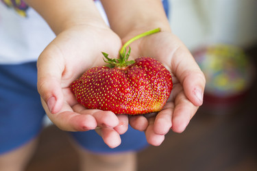 Similar image 22153865