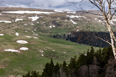 Similar image 22153016