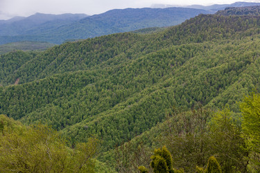 Similar image 22153017