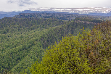 Similar image 22153018