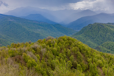 Similar image 22153019