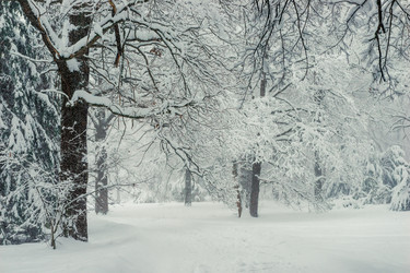 Similar image 22157701