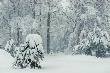 Similar image 22158500