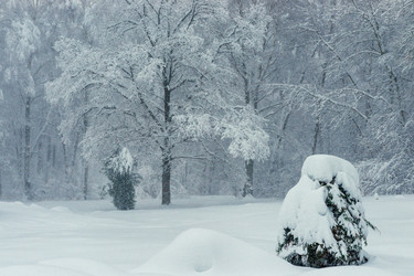 Similar image 22158502