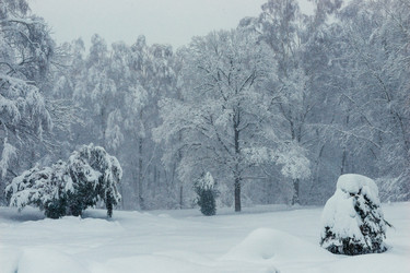 Similar image 22158508