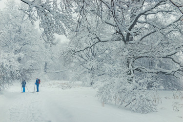 Similar image 22158511