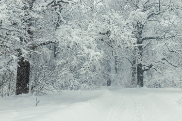 Similar image 22158513