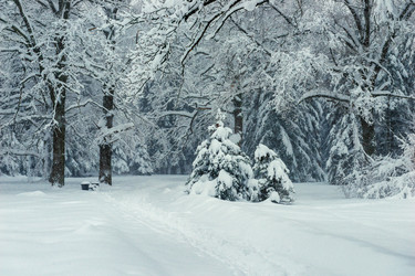 Similar image 22158515