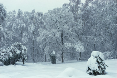 Similar image 22158520