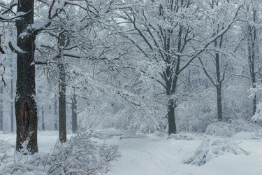 Similar image 22158521