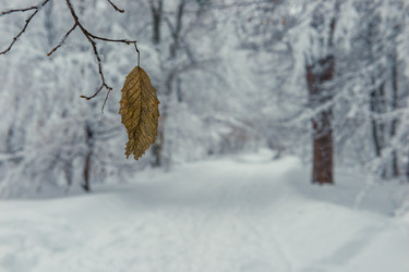 Similar image 22158527