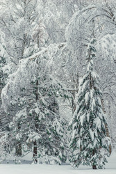 Similar image 22158662