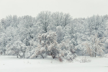 Similar image 22159341