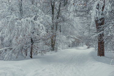 Similar image 22159342