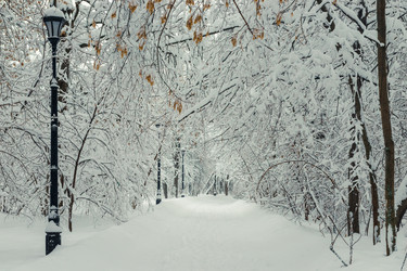 Similar image 22159344