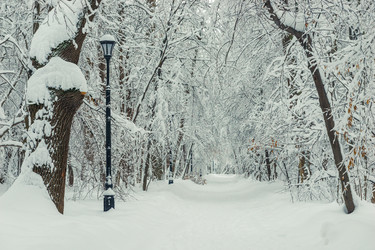 Similar image 22159345