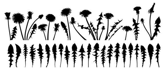 Similar image 22153034