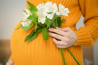 Similar image 22164708