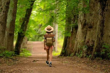 Similar image 22164709