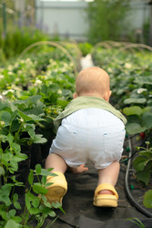 Similar image 22164712