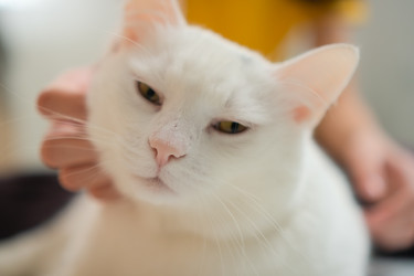 Similar image 22164719