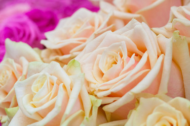 Similar image 22154879