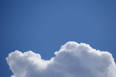 Similar image 22154880